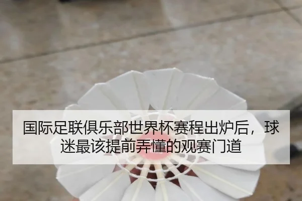国际足联俱乐部世界杯赛程出炉后，球迷最该提前弄懂的观赛门道